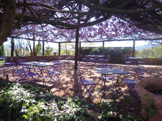 Agriturismo Ca' del Bosco - The beauty & perfume of spring in Tuscany